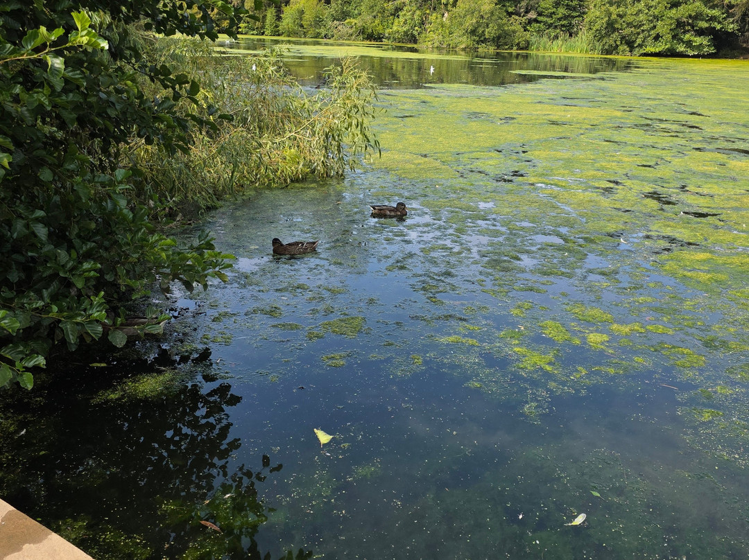 Elvaston Castle and Country Park-Elvaston必去景点