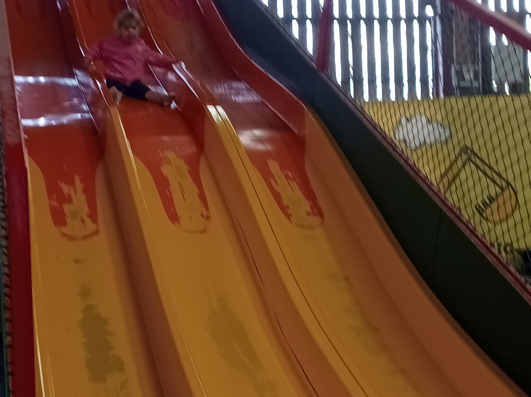 Piglets Adventure Farm-约克必去景点