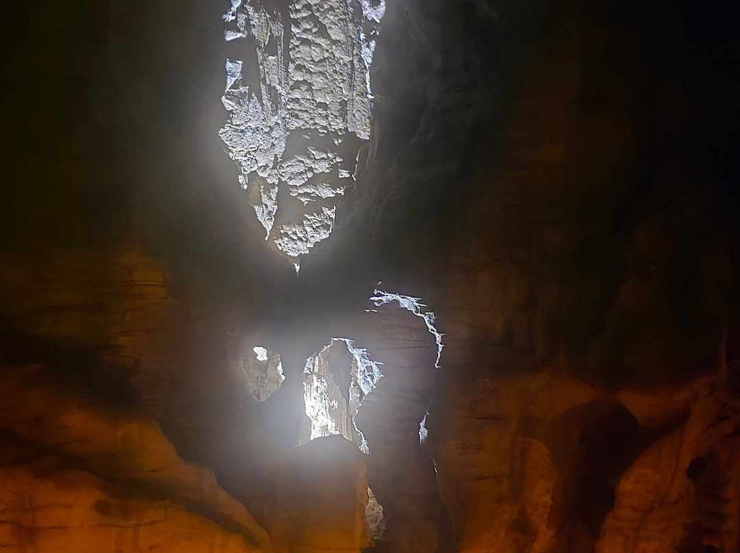 Ruakuri Cave-怀托摩洞穴必去景点