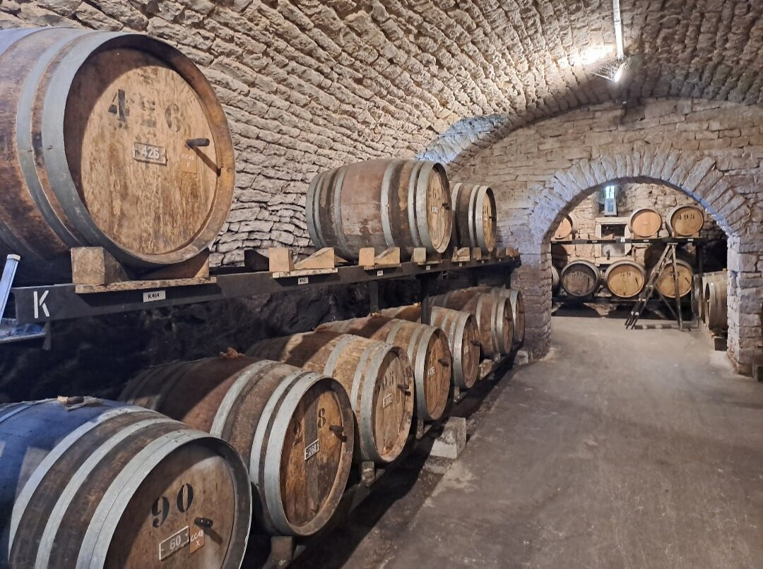 Domaine Berthet-Bondet-Chateau Chalon必去景点