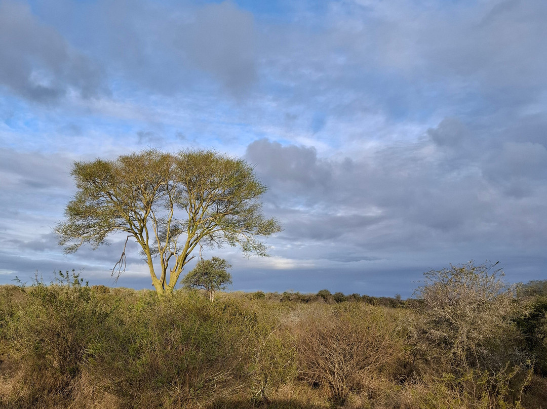 Honey Badger Safaris Kruger Tours-玛洛斯帕克必去景点