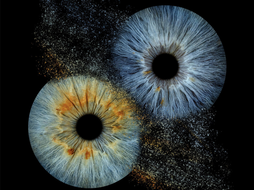 Iris Galerie Amsterdam Spiegelgracht-阿姆斯特丹必去景点