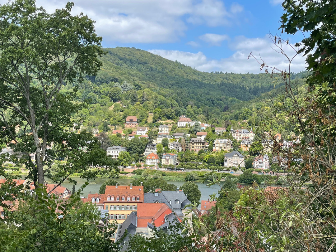 Weingut und Gästehaus Volker Schmitt主图