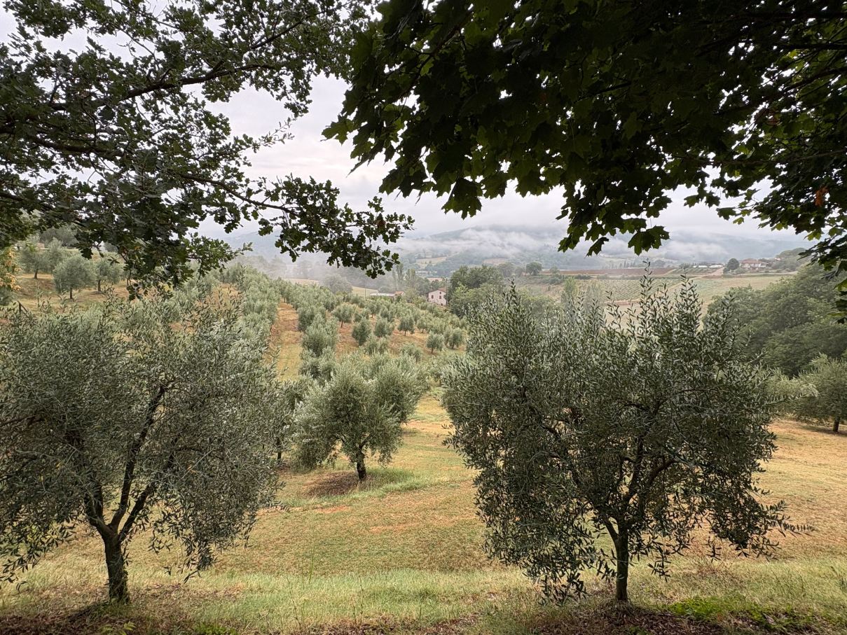 Agriturismo Val Della Pieve-旅行者