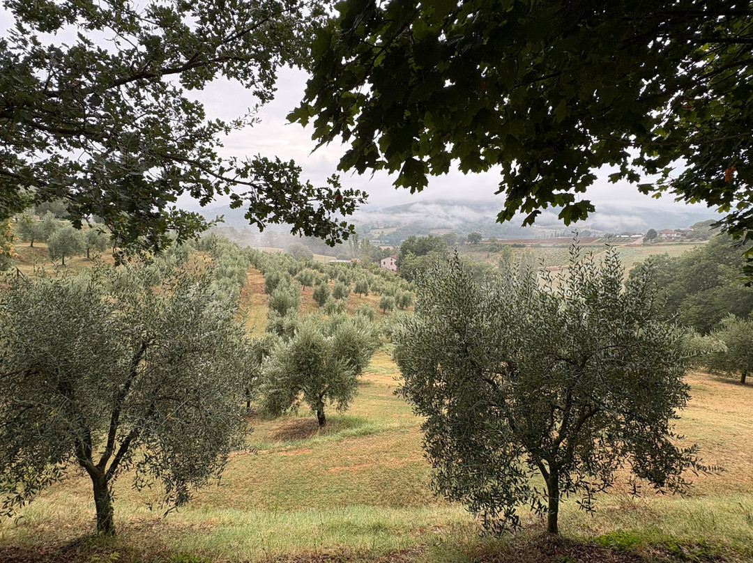 Agriturismo Val Della Pieve主图