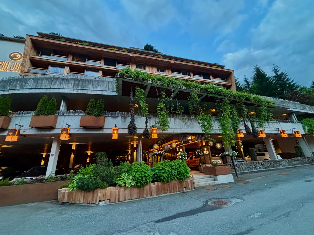 阿尔平杰威尔养生酒店主图