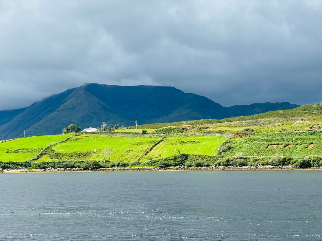 Killary Fjord Boat Tours-Leenane必去景点