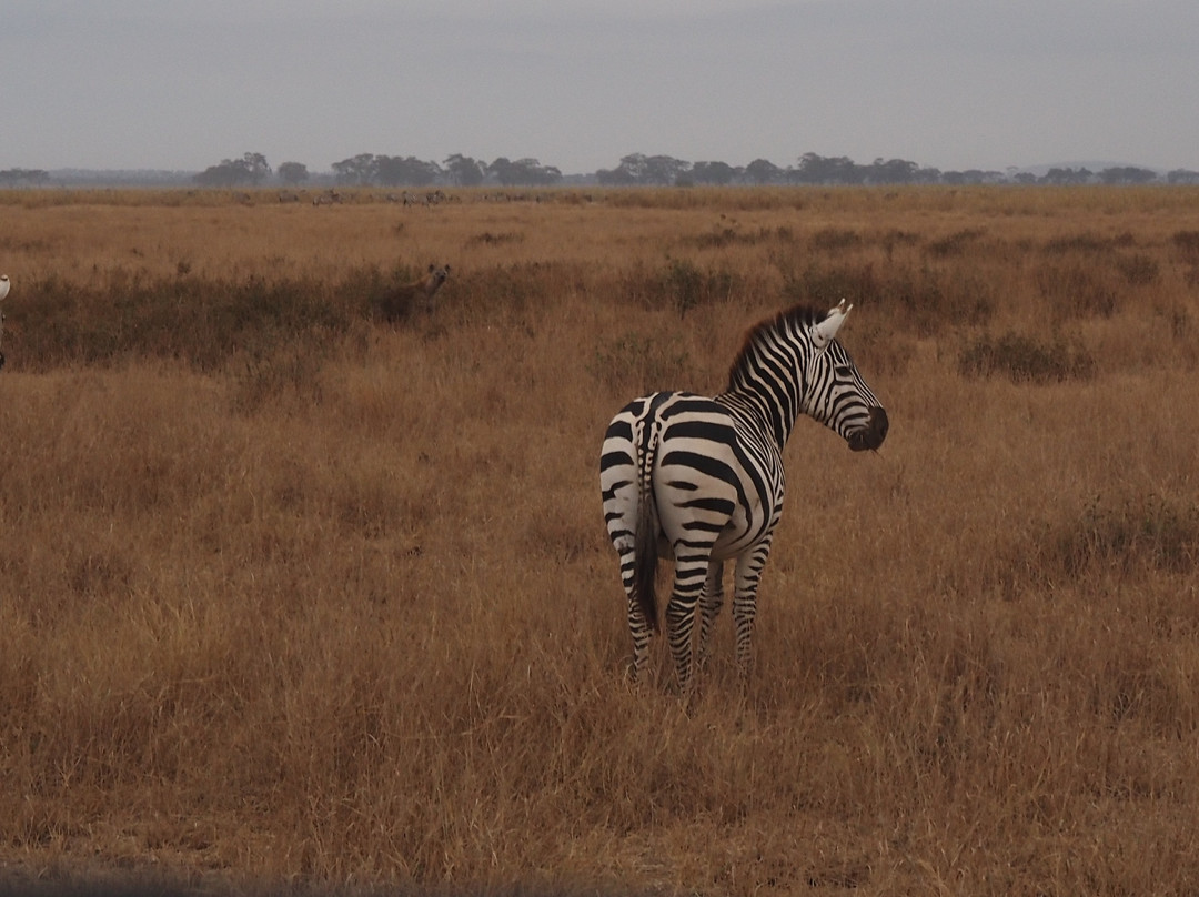 In2kenya-瓦塔木必去景点