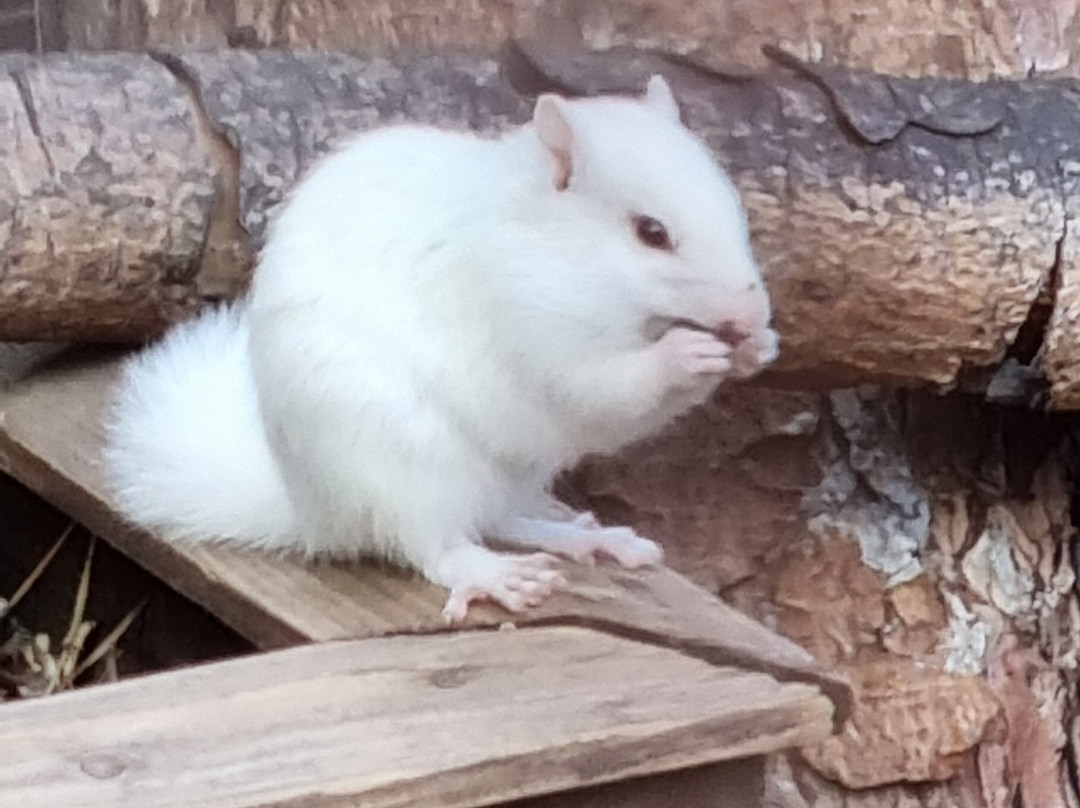 Filey Zoo-Filey必去景点