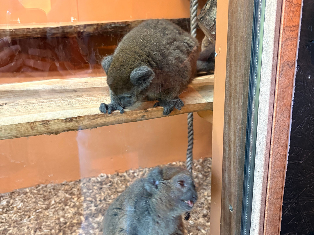 Aalborg Zoologiske Have-奥尔堡必去景点