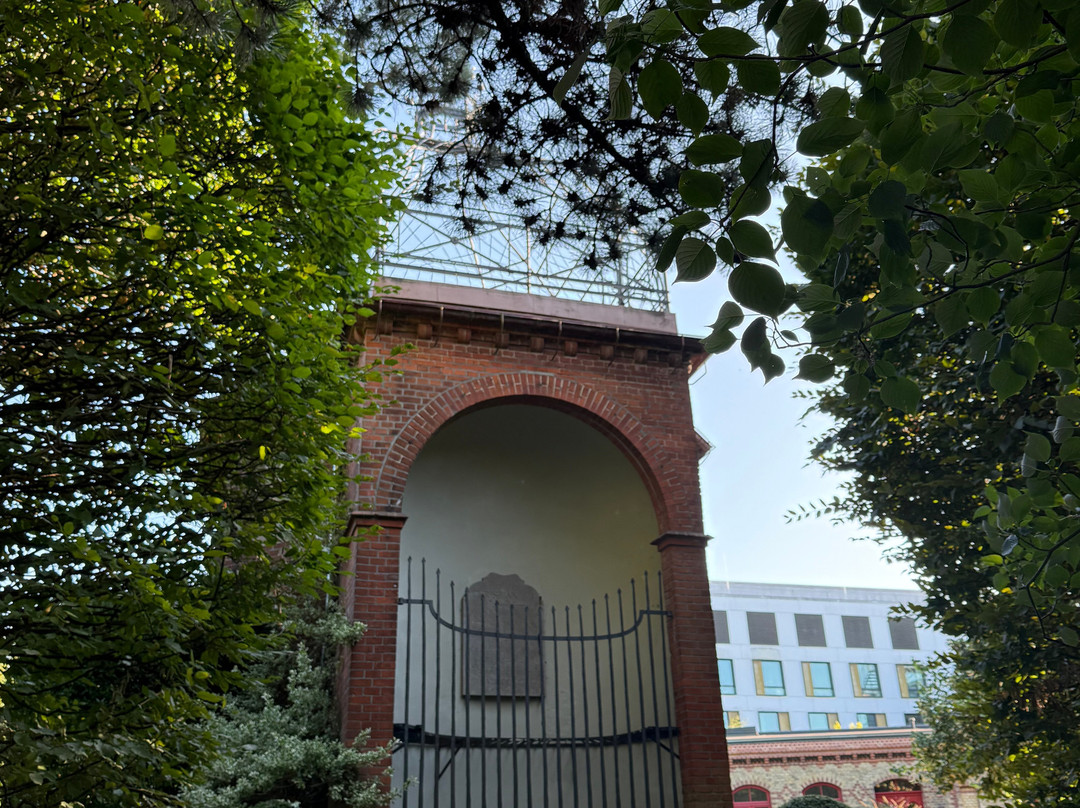 Alter Botanischer Garten-基尔必去景点