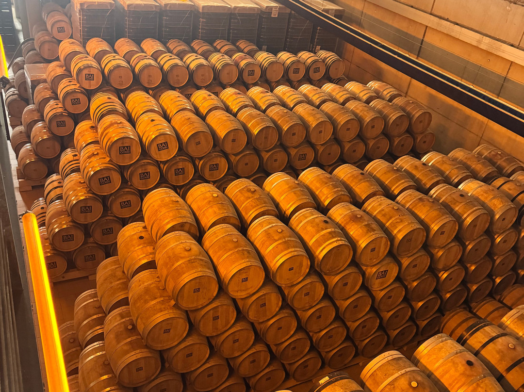 Bodegas Baigorri-Samaniego必去景点