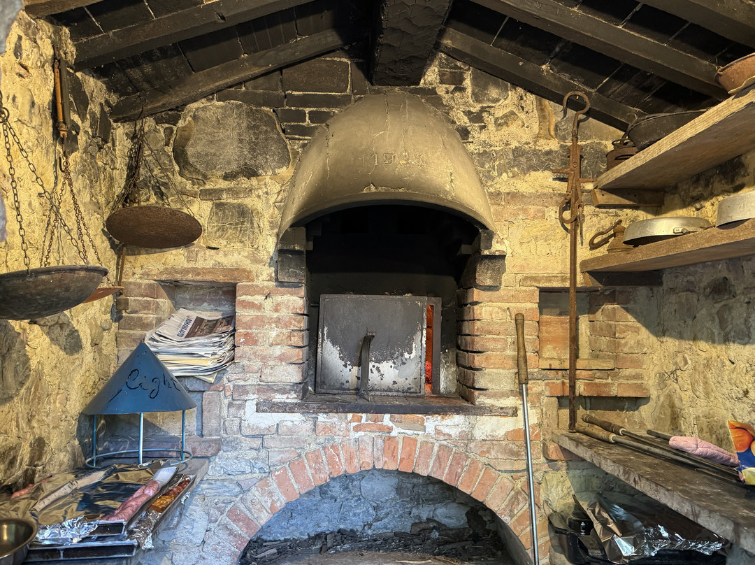 Casa Fabbrini Agriturismo主图