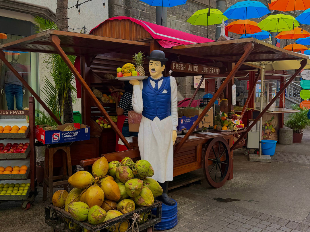 Paradisio Excursions Ile Maurice-大湾必去景点