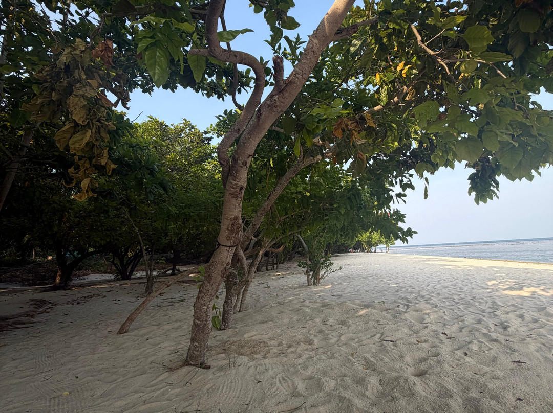Canigao Island-Leyte Island必去景点