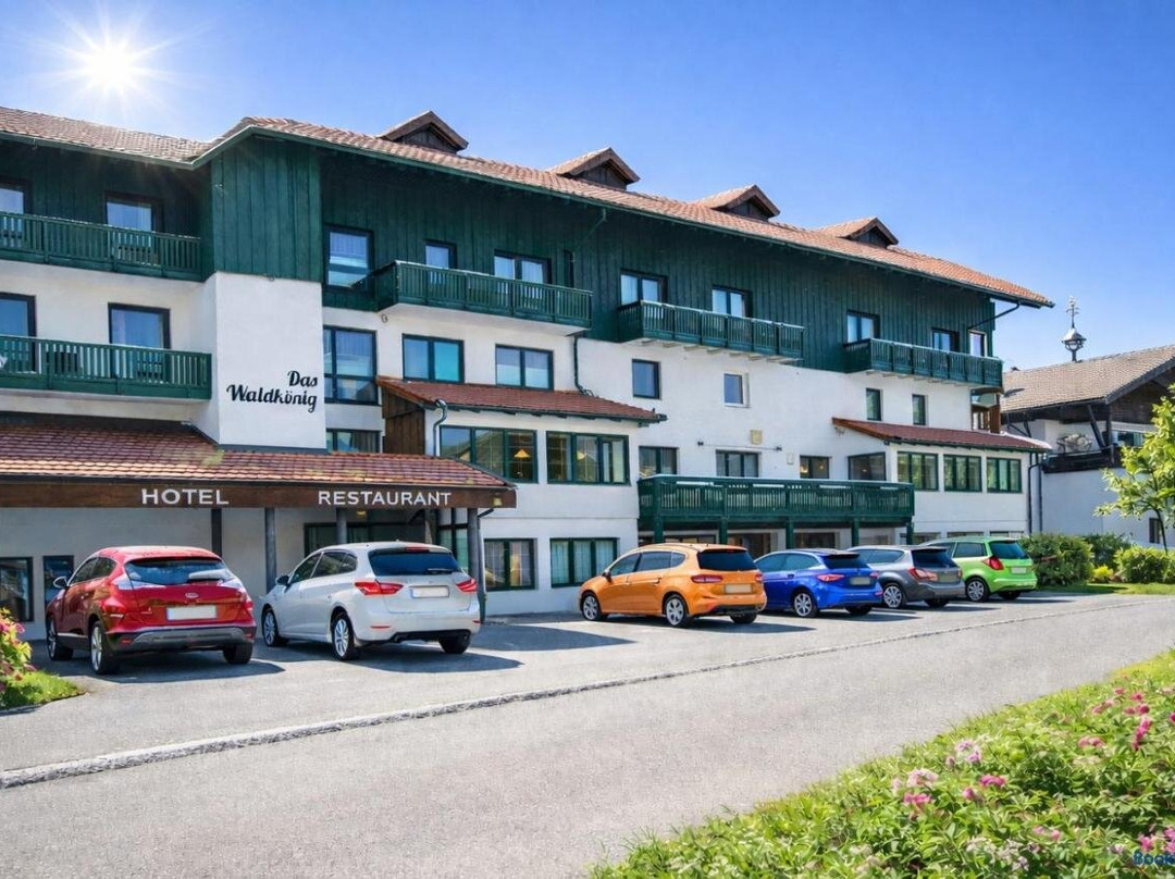 Hotel Das Waldkonig