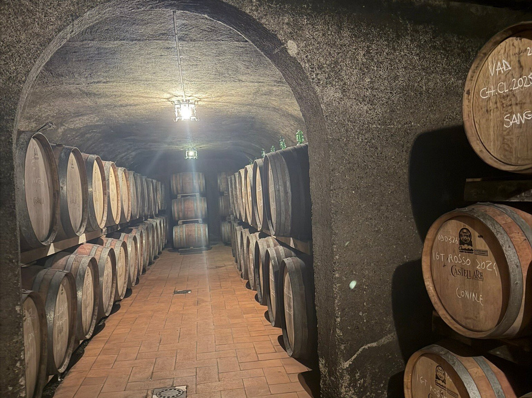 Castellare di Castellina-卡斯特利纳－因基安蒂必去景点