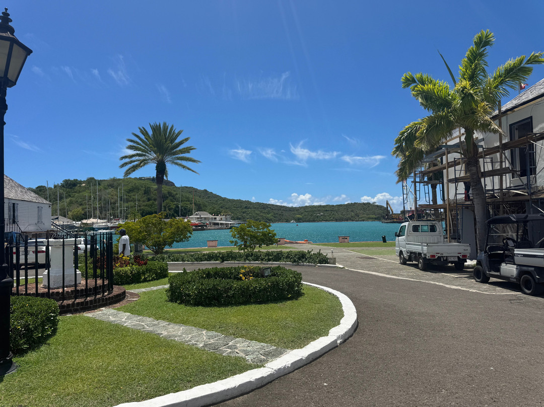 Tropical Adventures - Island Safari-圣 约翰必去景点