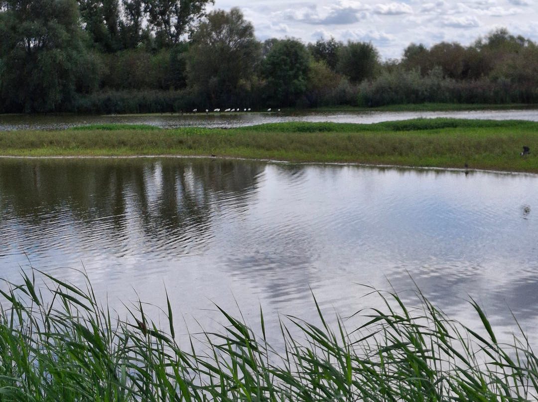 Réserve Ornithologique de Grand-Laviers-Grand-Laviers必去景点