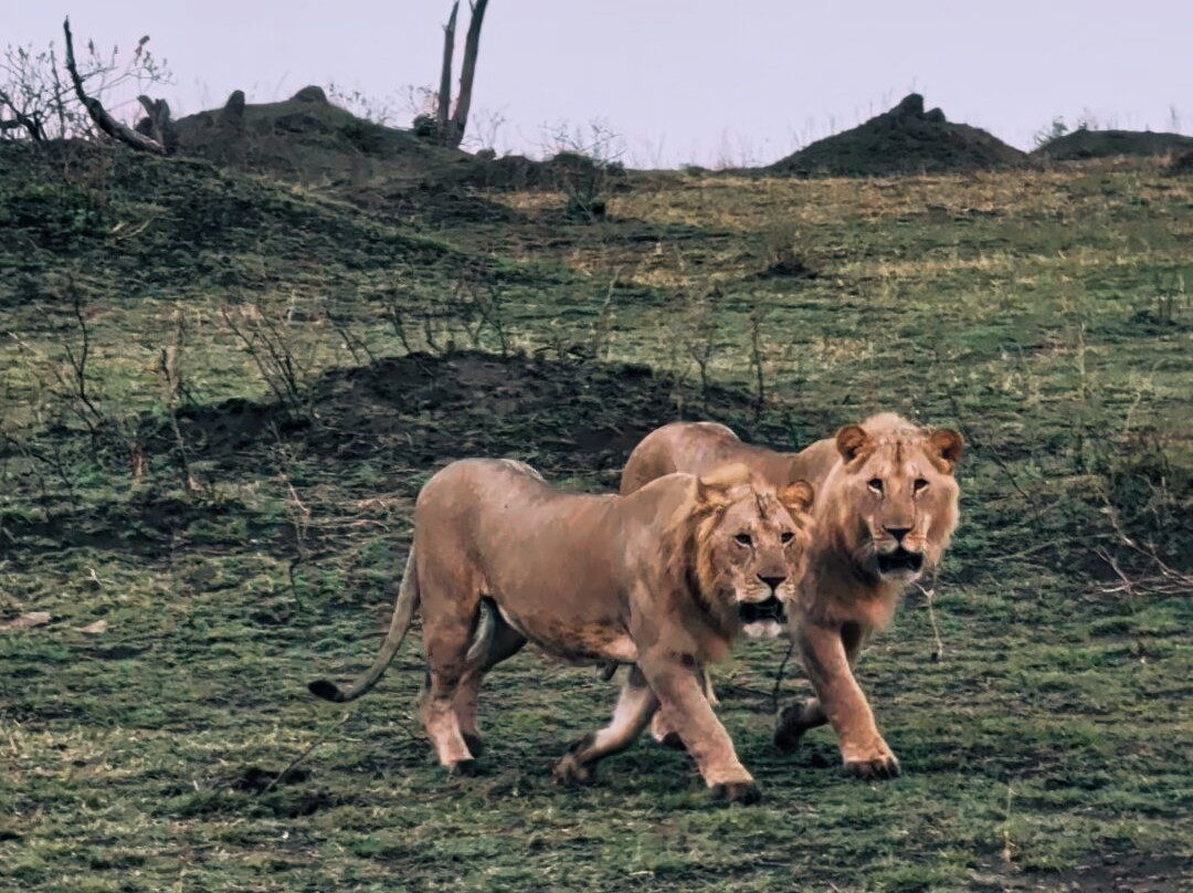 Katikati Tours and Safaris-阿鲁沙必去景点