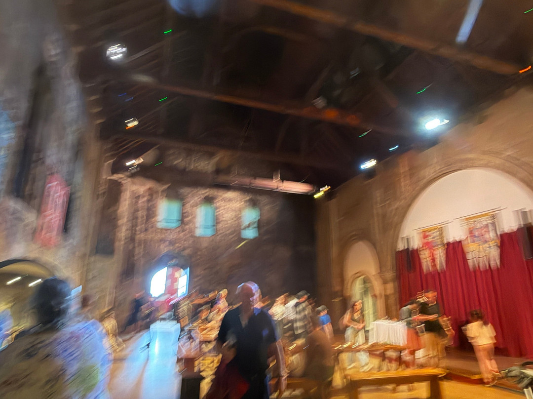 Norwich Castle Museum & Art Gallery-诺威奇必去景点