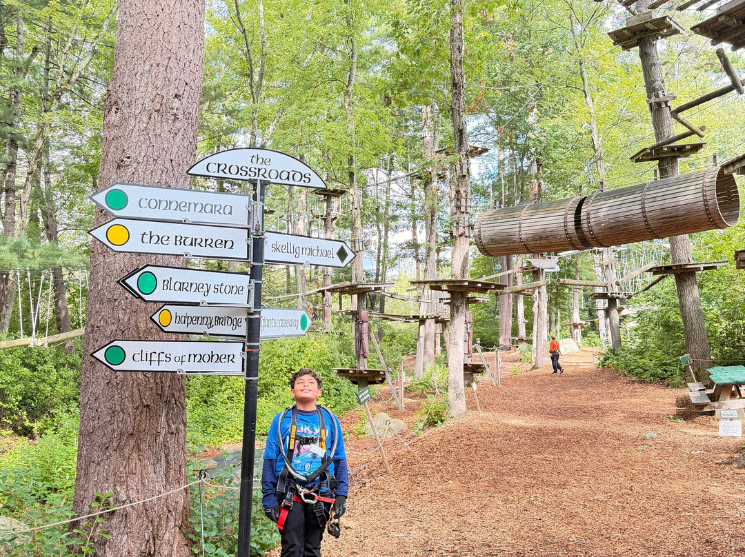 TreeTop Adventures Canton-Canton必去景点