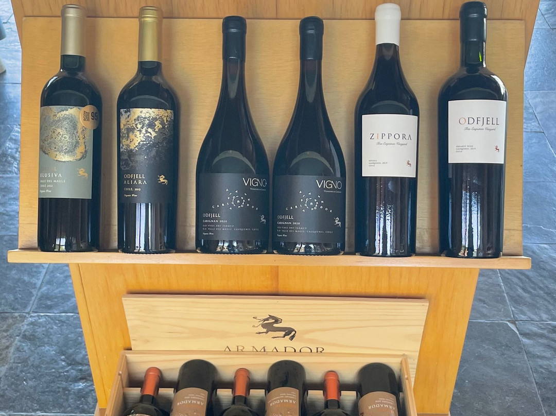 Odfjell Vineyards-Padre Hurtado必去景点