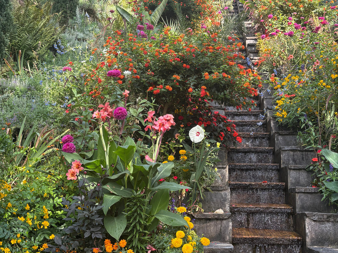 Isle of Mainau-康士坦茨必去景点
