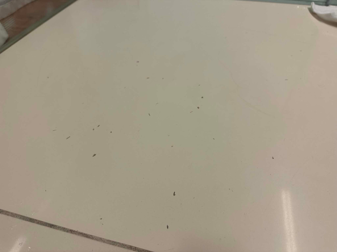 万丽巴塞罗那费拉酒店主图