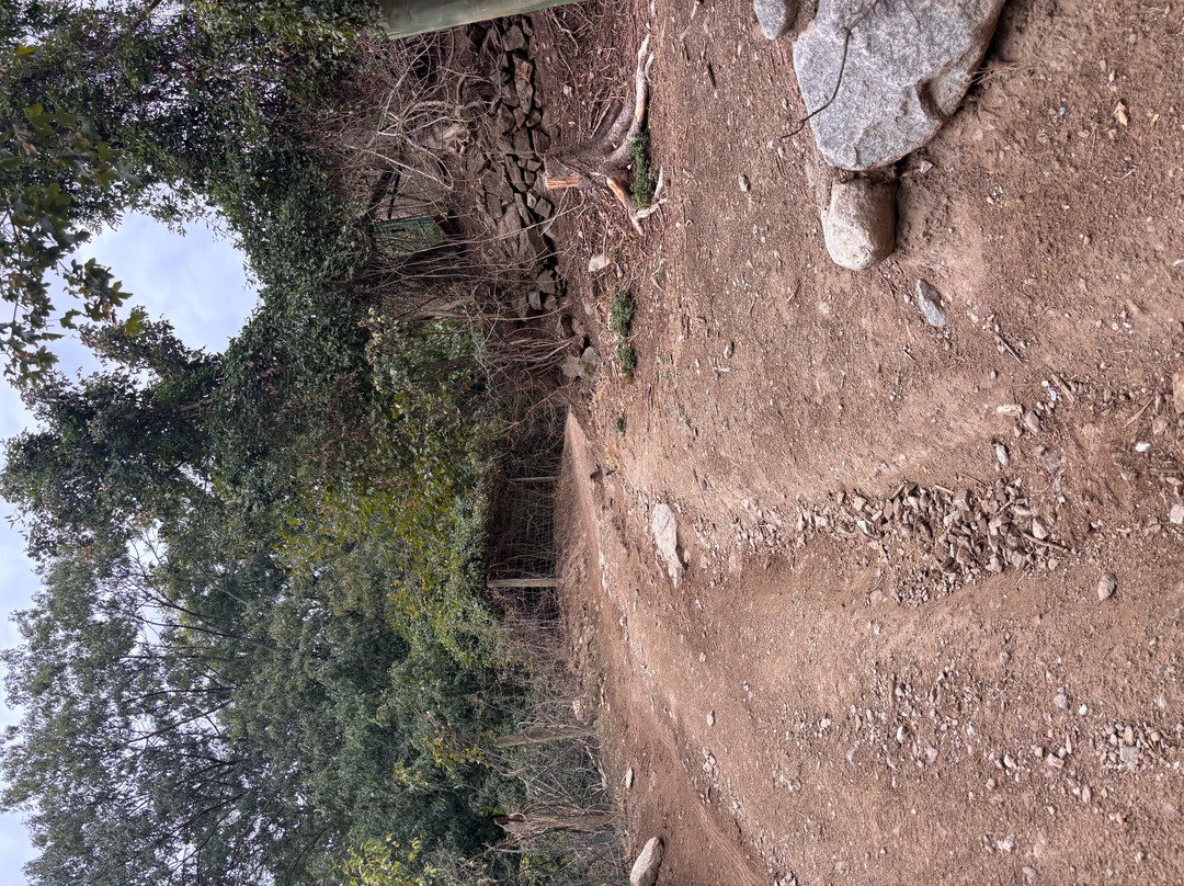 Parc Animalier De Casteil-Casteil必去景点