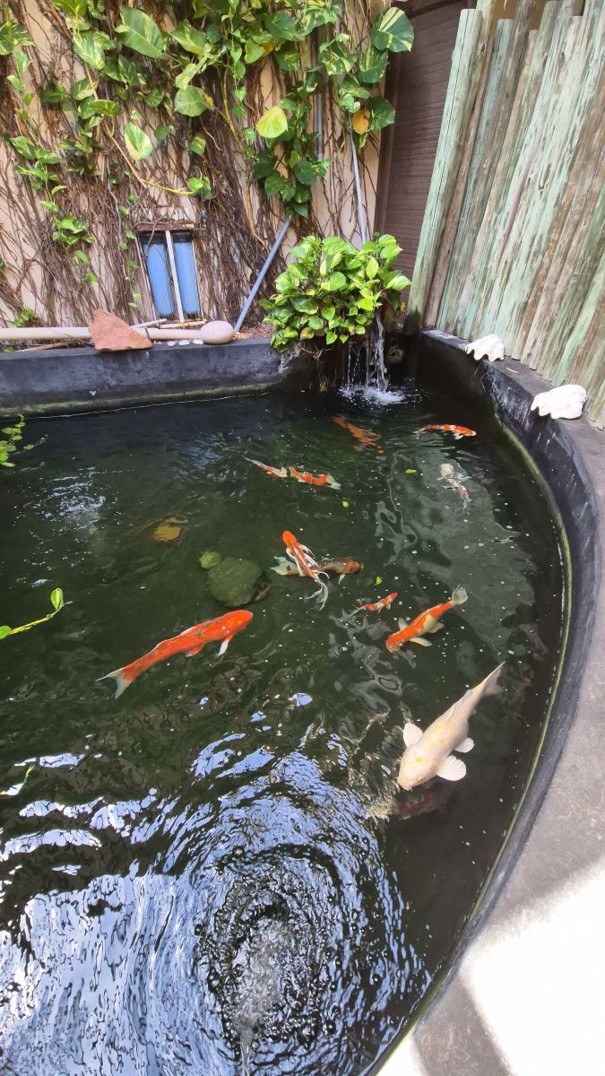 普拉斯林公爵别墅酒店-旅行者