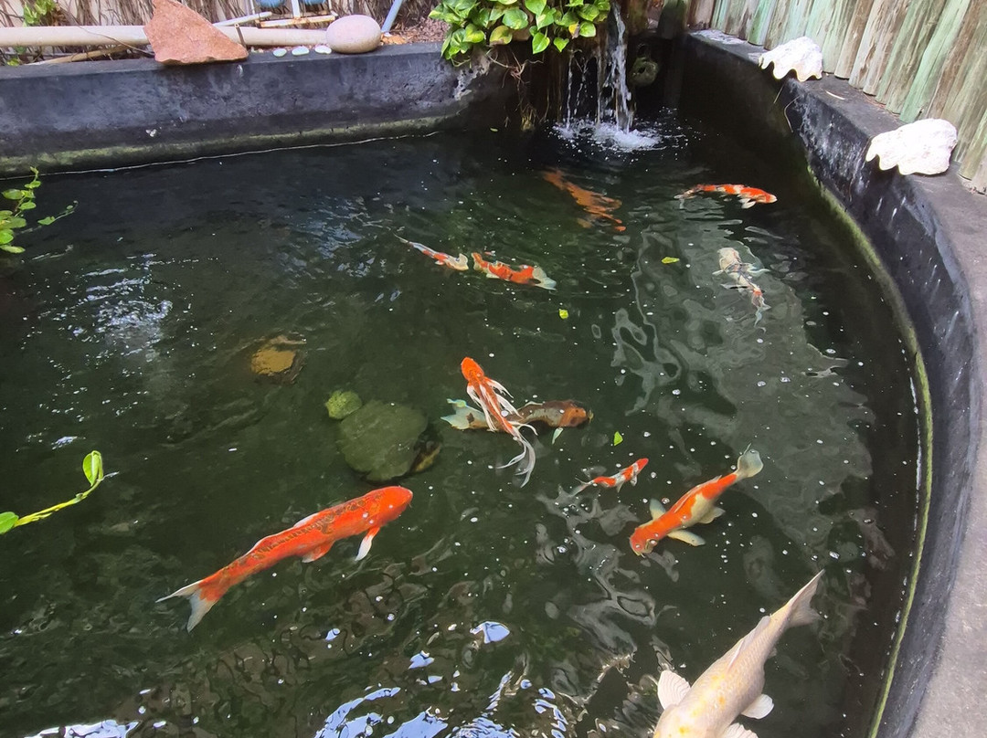 普拉斯林公爵别墅酒店主图