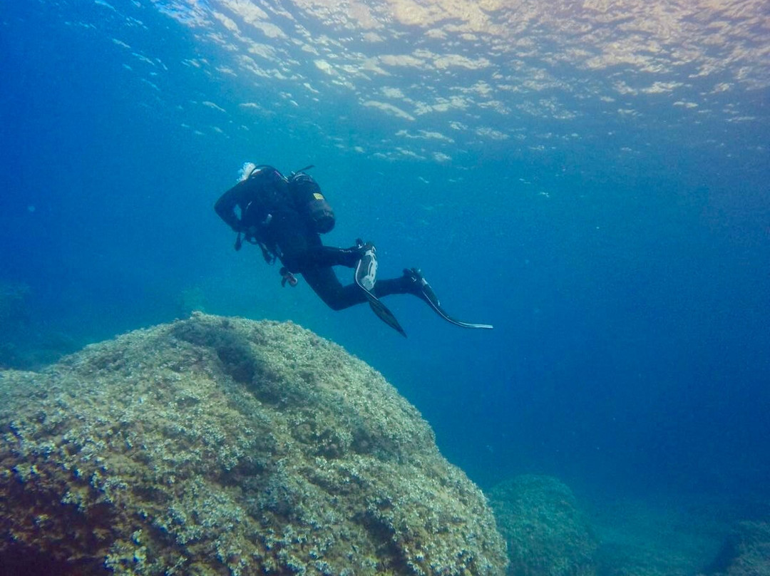 Albatros Diving-爱博纳必去景点