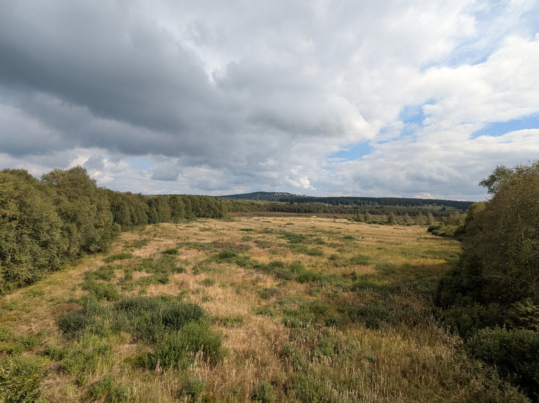 Rotes Moor