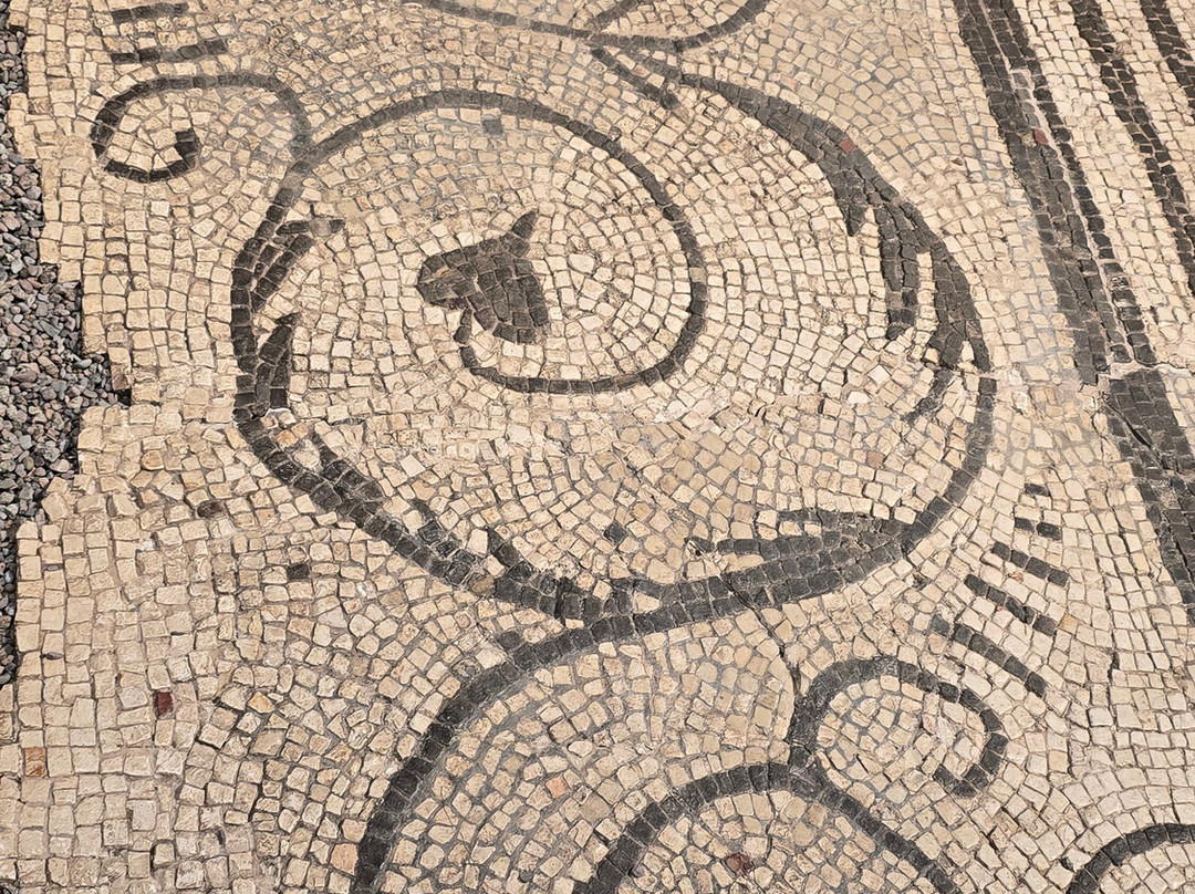 National Roman Legion Museum-Caerleon必去景点