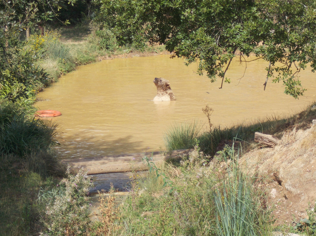 怀特岛动物园-桑当必去景点
