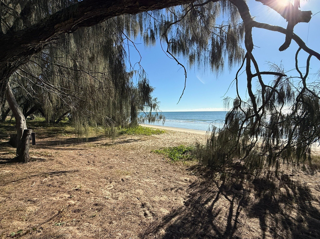 Woodgate Beach-邦德堡必去景点