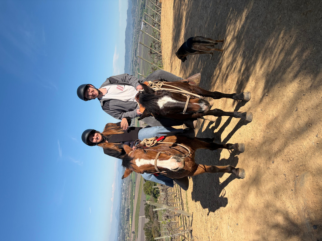 Natural Wine Tours-Palmilla必去景点