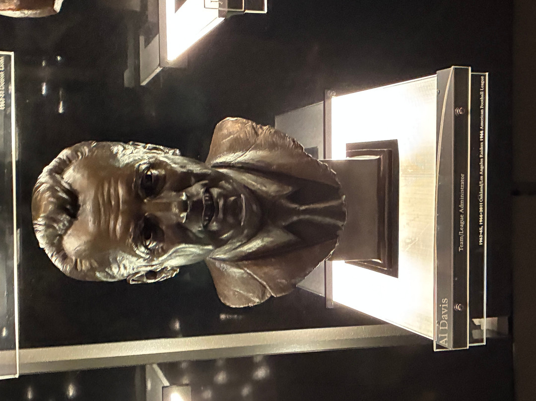Pro Football Hall of Fame-坎顿必去景点