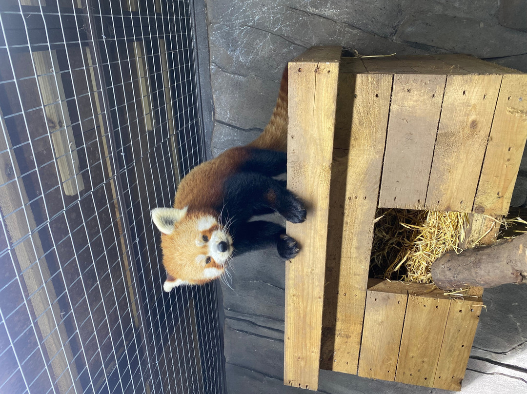 Five Sisters Zoo-West Calder必去景点