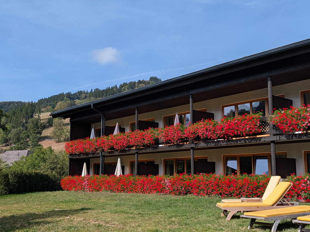 Romantik Hotel Spielweg主图