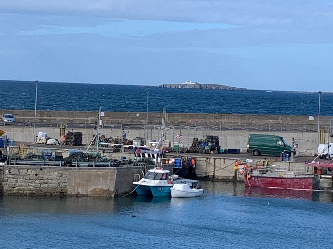 The Northumberland Coast Area of Outstanding Natural Beauty-Seahouses必去景点
