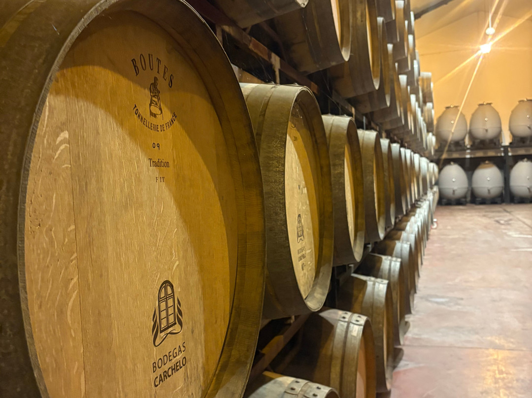 Bodegas Carchelo-Jumilla必去景点