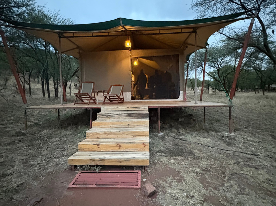 Friends Camps and Lodge-Seronera必去景点