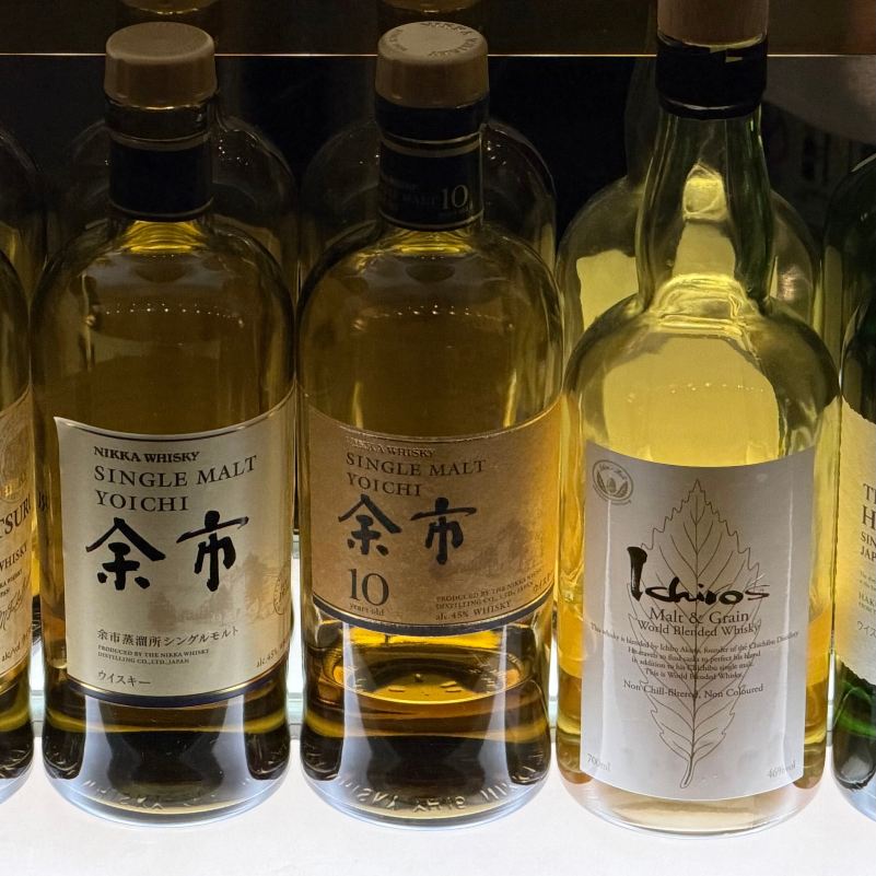 成田东武机场酒店-旅行者