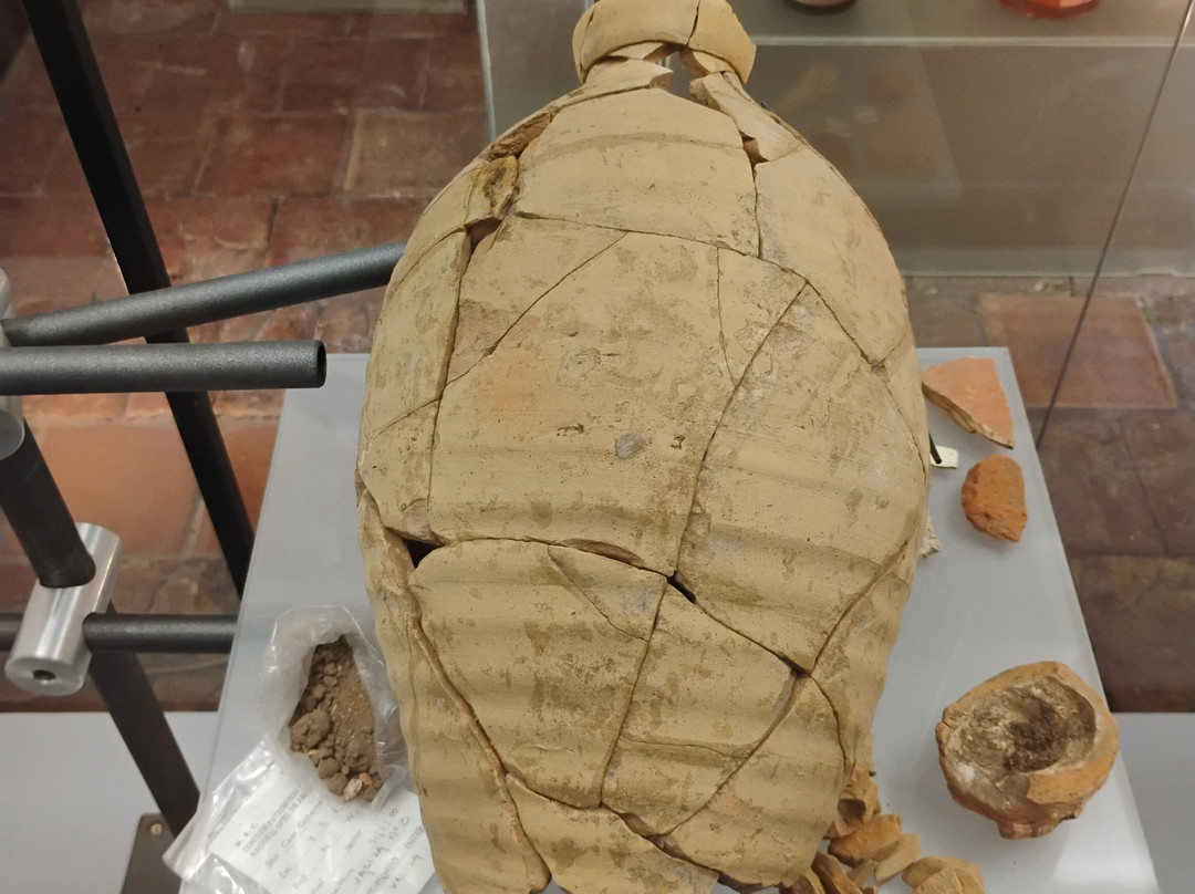 Museo Paleontologico-科洛尼亚·德尔萨克拉门托城必去景点
