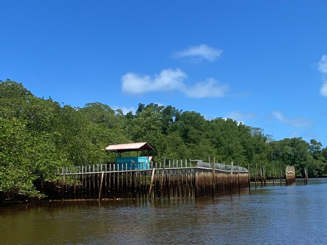 Associacao Peixe-Boi-Porto de Pedras必去景点
