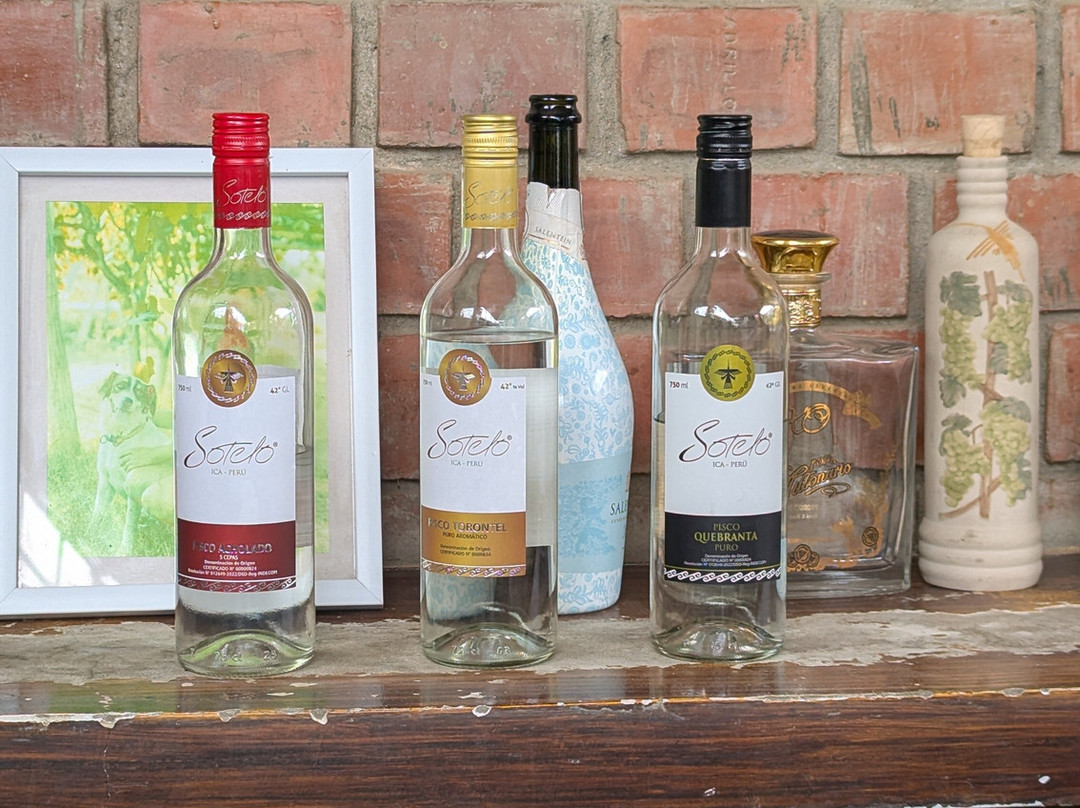 Bodega Y Viñedo Sotelo-伊卡必去景点