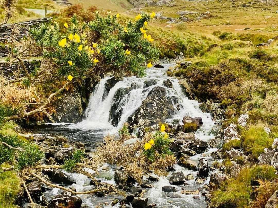 Healy Pass-Adrigole必去景点