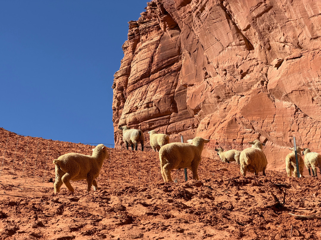 Antelope Canyon X By Taadidiin Tours-佩吉必去景点